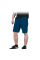 Шорты рабочие SHORTS